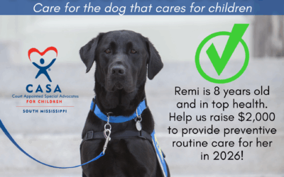 Paws for the Cause: Care for the dog that cares for children